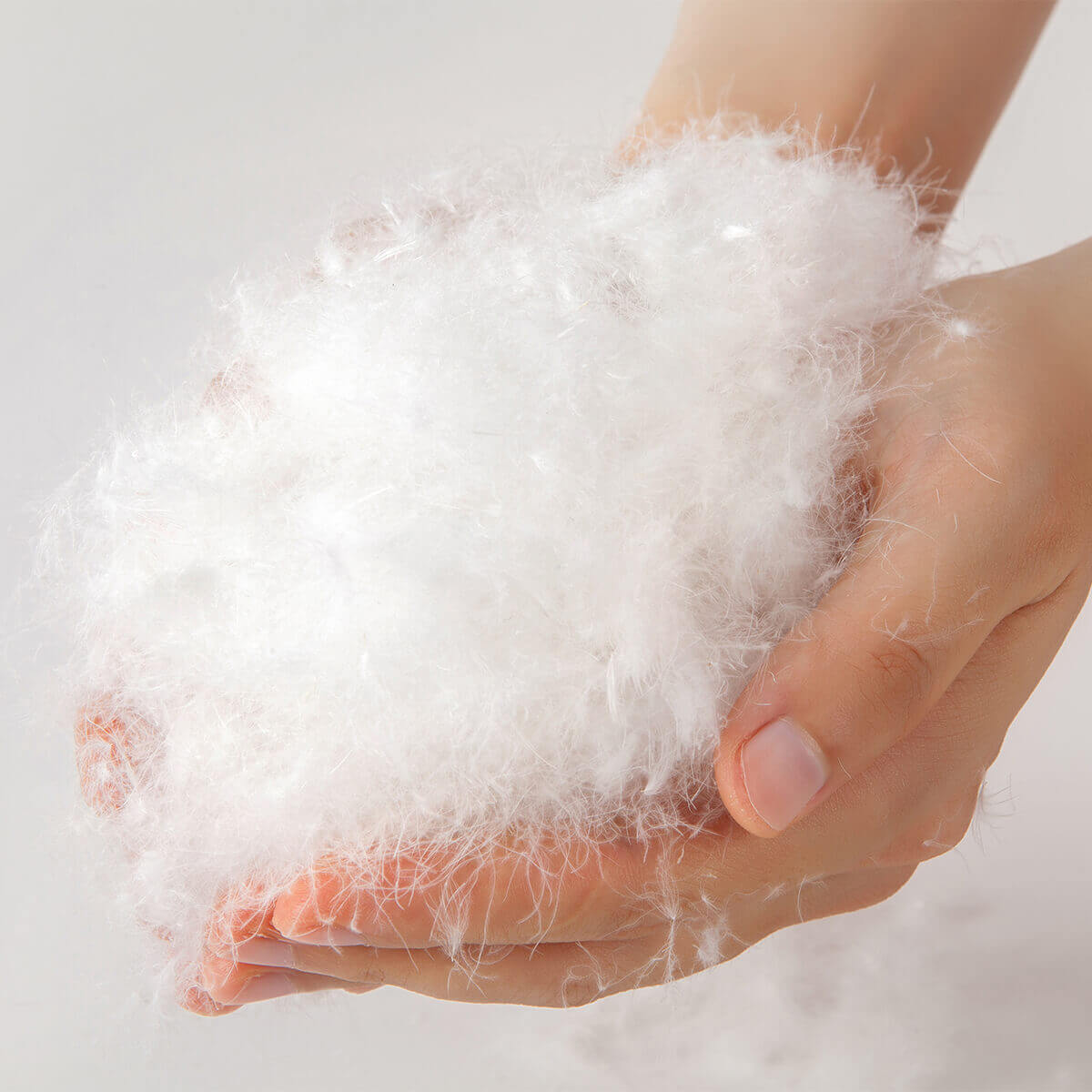 Hands holding soft white feathers, representing the luxurious fill of the Daunendecke Nordic for a restful sleep experience.